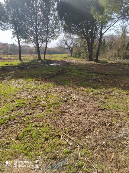 Foto Terreno in Vendita in Via Sarzanello - Sarzana (SP)