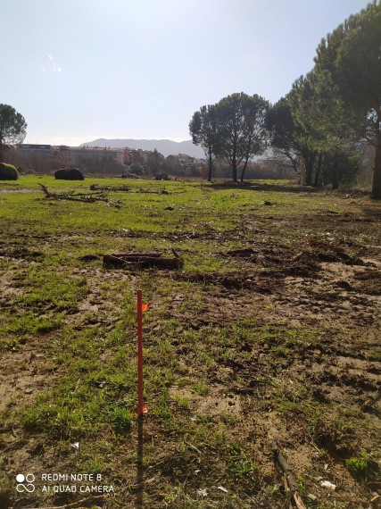 Foto 4 Terreno in Vendita in Via Sarzanello - Sarzana (SP)