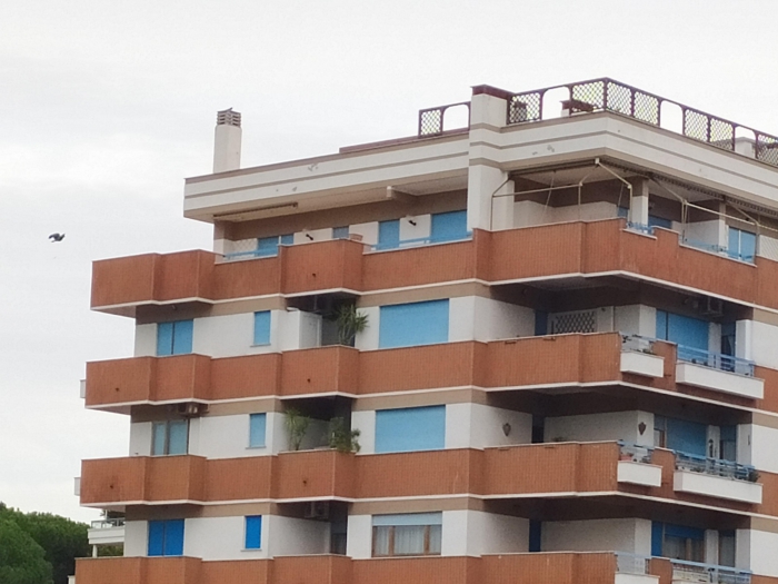Foto principale Appartamento in Vendita in Viale Dante Alighieri - Pomezia (RM)