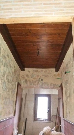 Foto 4 Terreno in Vendita in Via Auricola - Amaseno (FR)
