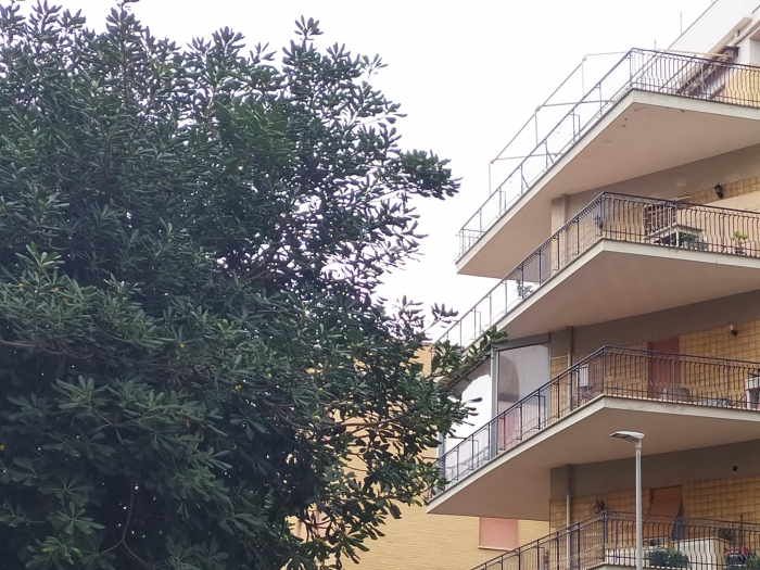 Foto Appartamento in Vendita in Via Tuscolana (Vendo Casa Privatamente) - Roma (RM)