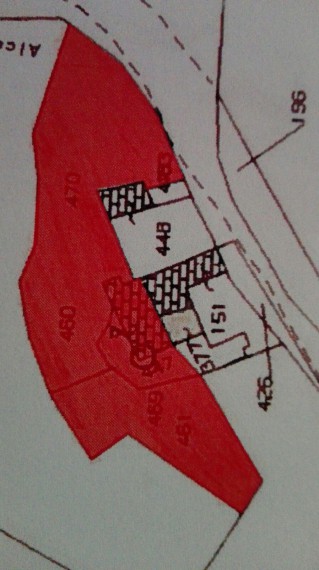 Foto 4 Terreno in Vendita in Contrada Scalavecchia - Bronte (CT)