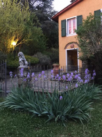 Foto principale Casa indipendente in Vendita in Bivigliano - Firenze (FI)