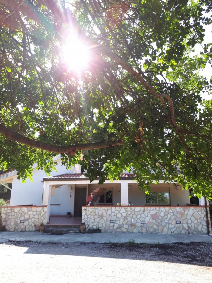 Foto 2 Villa in Vendita in Contrada Lauro - Ciminna (PA)