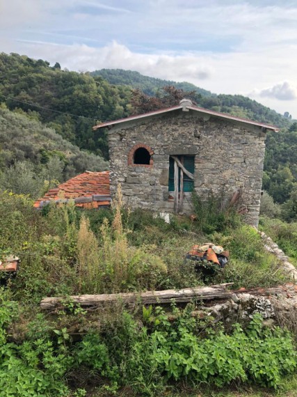 Foto Casa indipendente in Vendita in Via Seimiglia, Fibbiano Montanino - Camaiore (LU)