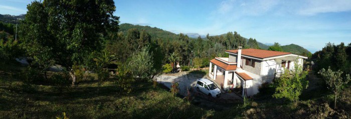 Foto 2 Casa indipendente in Vendita in SS.18 Km 196.600 - Roccagloriosa (SA)