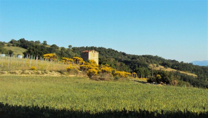 Foto principale Terreno in Vendita in Candeggio - Città di Castello (PG)