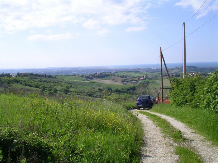 Foto Terreno in Vendita in Loc. Monteluro - Tavullia (PU)