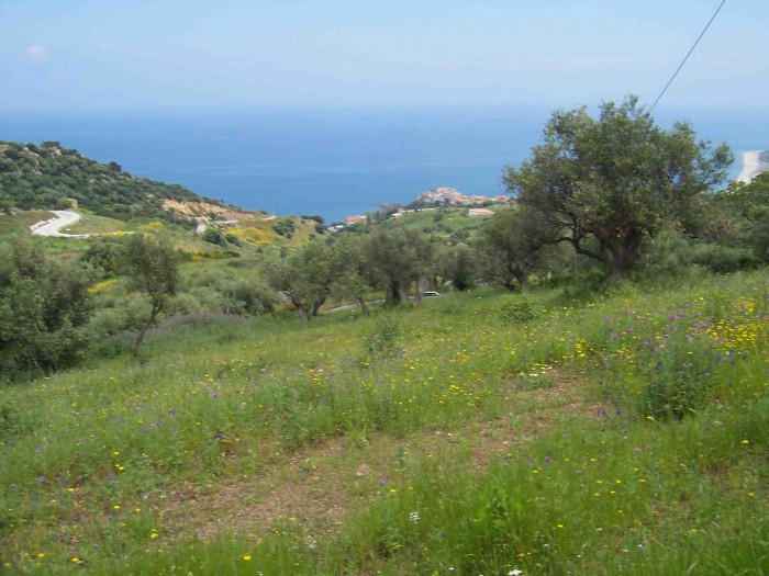 Foto Terreno in Vendita in Ss - Tusa (ME)