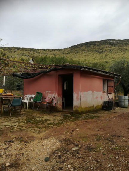 Foto Terreno in Vendita in Via La Torre N. 5 - Roccasecca dei Volsci (LT)