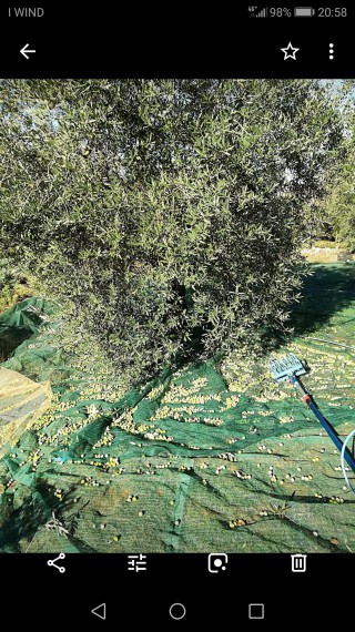 Foto 2 Terreno in Vendita in Via La Torre N. 5 - Roccasecca dei Volsci (LT)