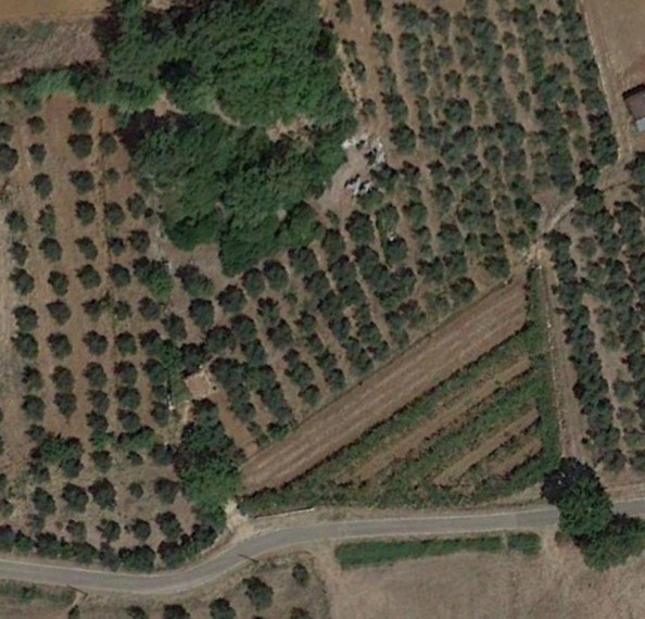 Foto 5 Terreno in Vendita in Via La Torre N. 5 - Roccasecca dei Volsci (LT)