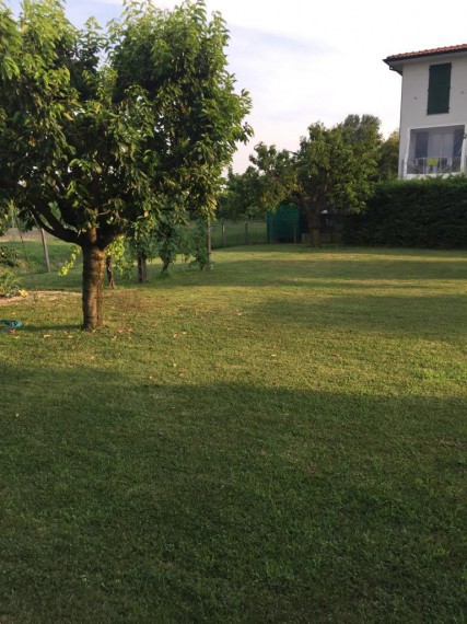 Foto 4 Terreno in Vendita in VIA BALLARDINI, 17 - Lugo (RA)