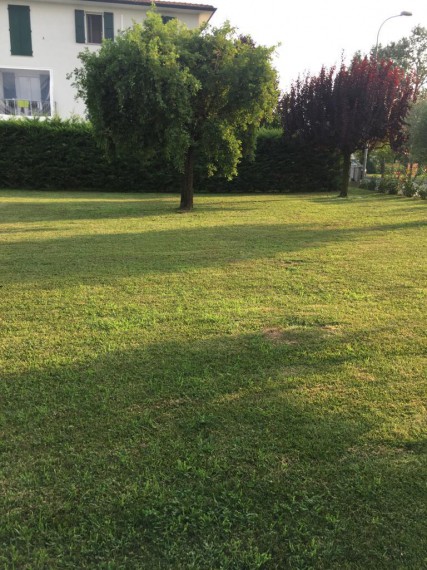 Foto 5 Terreno in Vendita in VIA BALLARDINI, 17 - Lugo (RA)
