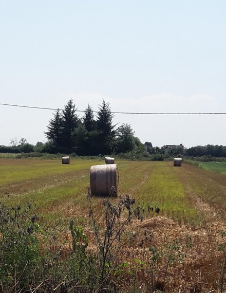 Foto Terreno in Vendita in Legnano Zona Ospedale Nuovo - Legnano (MI)