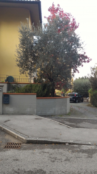 Foto 3 Villa in Vendita in VIA GRAMIGNETO - Serravalle Pistoiese (PT)