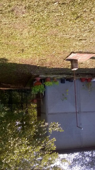Foto 4 Terreno in Vendita in Via Gaiana - Medicina (BO)