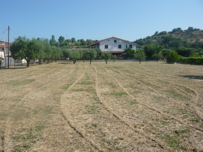 Foto Terreno in Vendita in Contrada Cataldo 256 Mongrassano CS - Mongrassano (CS)