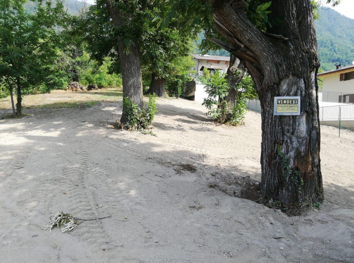 Foto Terreno in Vendita in Via Castagneto - Novaledo (TN)